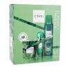 C-THRU Luminous Emerald Geschenkset Edt 30 ml + Deodorant 150 ml + Kerze
