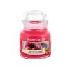 Yankee Candle Roseberry Sorbet Duftkerze 104 g