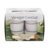 Yankee Candle Camellia Blossom Duftkerze 117,6 g