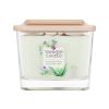 Yankee Candle Elevation Collection Cactus Flower &amp; Agave Duftkerze 347 g