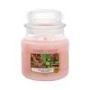 Yankee Candle Tranquil Garden Duftkerze 411 g