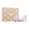 Estée Lauder Resilience Multi-Effect Skincare Wonders Geschenkset Tagescreme Resilience Multi-Effect SPF15 50 ml + Augencreme Resilience Multi-Effect 5 ml + Reinigungsmittel Perfectly Clean 30 ml + Gesichtsserum Perfectionist Pro 15 ml