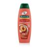 Palmolive Naturals Hydra Balance 2in1 Shampoo für Frauen 350 ml