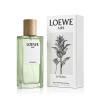 Loewe Aire Sutileza Eau de Toilette für Frauen 50 ml