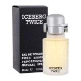 Iceberg Twice
