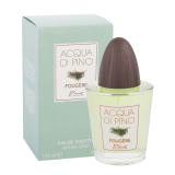 Pino Silvestre Acqua Di Pino Fougére