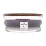 WoodWick Trilogy Amethyst Sky