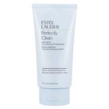 Estée Lauder Perfectly Clean Foam Cleanser & Purifying Mask