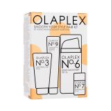 Olaplex Smooth Your Style Hair Kit