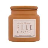 Elle Home Almond Blossom