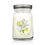 Yankee Candle Signature Midnight Jasmine