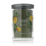 Yankee Candle Signature Sage & Citrus Tumbler