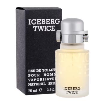 Iceberg Twice
