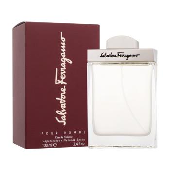 Ferragamo Pour Homme