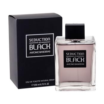 Banderas Seduction in Black