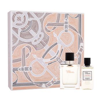 Hermes Terre d´Hermès