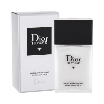 Dior Dior Homme 2020