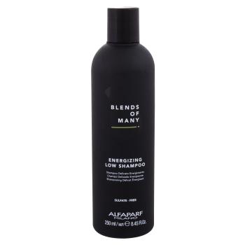 ALFAPARF MILANO Blends Of Many Energizing