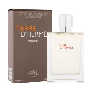 Hermes Terre d´Hermès Eau Givrée