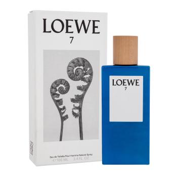Loewe 7