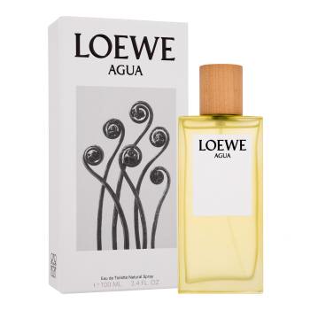 Loewe Agua
