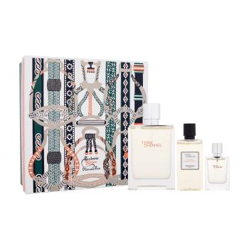 Hermes Terre d´Hermès Eau Givrée