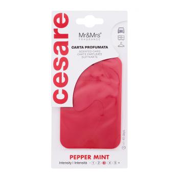 Mr&Mrs Fragrance Cesare Scented Card Pepper Mint