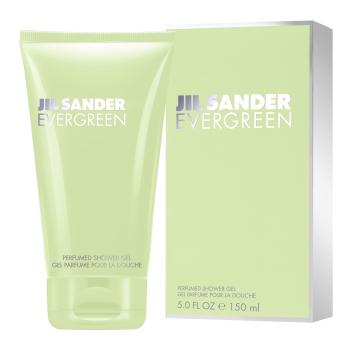 Jil Sander Evergreen