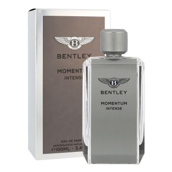 Bentley Momentum Intense