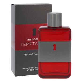 Banderas The Secret Temptation