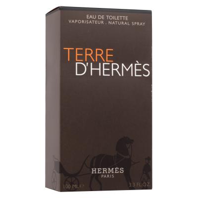 Hermes Terre d´Hermès Eau de Toilette für Herren 100 ml
