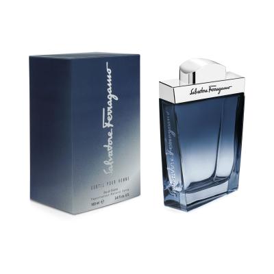 Salvatore Ferragamo Subtil Pour Homme Eau de Toilette für Herren 100 ml