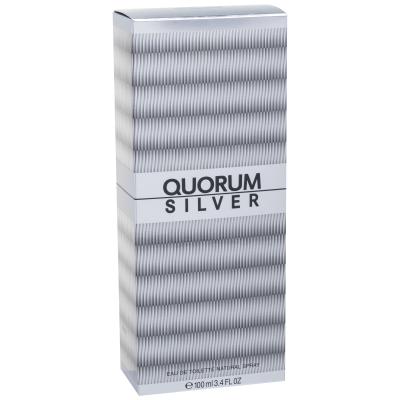 Antonio Puig Quorum Silver Eau de Toilette für Herren 100 ml