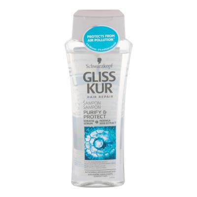 Schwarzkopf Gliss Purify &amp; Protect Shampoo für Frauen 250 ml