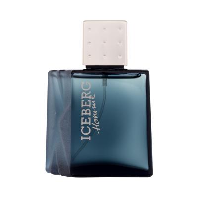 Iceberg Homme Eau de Toilette für Herren 50 ml