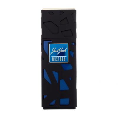 Just Jack Mystery Eau de Parfum für Herren 100 ml