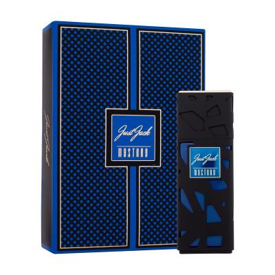 Just Jack Mystery Eau de Parfum für Herren 100 ml