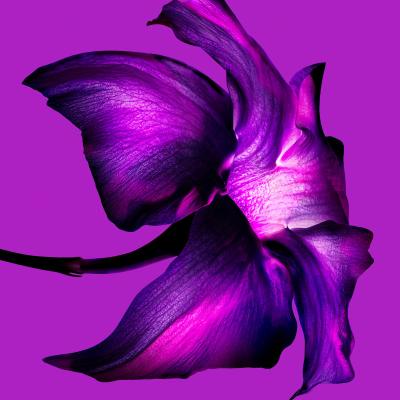 Mugler Alien Extraintense Eau de Parfum für Frauen 90 ml