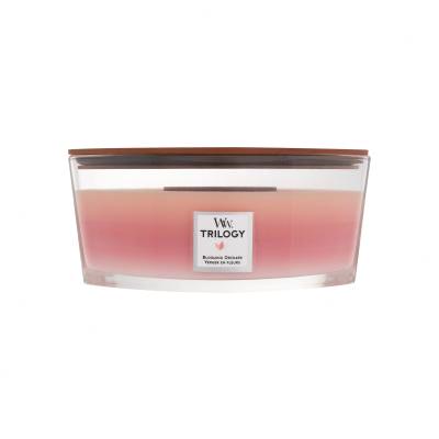 WoodWick Trilogy Blooming Orchard Duftkerze 453,6 g