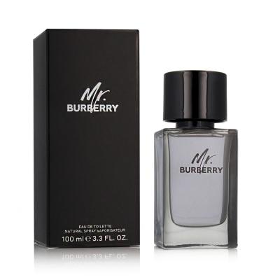 Burberry Mr. Burberry Eau de Toilette für Herren 100 ml
