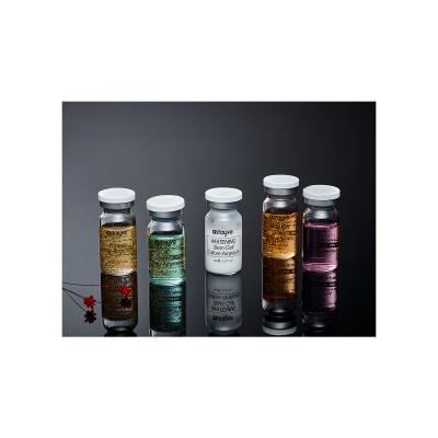 Stayve Booster Starter Kit Geschenkset Gesichtsserum Whitening Stem Cell Culture Ampoule 3 x 8 ml + Gesichtsserum Aqua Stem Cell Culture Ampoule 3 x 8 ml + Gesichtsserum EGF Peptide Gold Ampoule 2 x 8 ml + Gesichtsserum Salmon DNA 2 x 8 ml + Gesichtsserum AC Stem Cell 2 x 8 ml