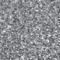 Wet n Wild Color Icon Glitter Single Glitzer Lidschatten für Frauen 1,4 g