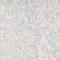 Wet n Wild Color Icon Glitter Single Glitzer Lidschatten für Frauen 1,4 g