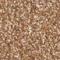 Wet n Wild Color Icon Glitter Single Glitter Lidschatten für Frauen 1,4 g
