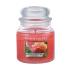 Yankee Candle Sun-Drenched Apricot Rose Duftkerze 411 g