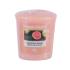 Yankee Candle Delicious Guava Duftkerze 49 g