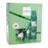 C-THRU Luminous Emerald Geschenkset Edt 30 ml + Deodorant 150 ml + Kerze