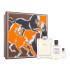 Hermes Terre d´Hermès Geschenkset Edt 100ml + 5ml Edt + 40ml Duschgel