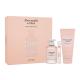 Abercrombie & Fitch Authentic Geschenkset  Edp 100 ml + Edp 15 ml + Körpermilch 200 ml