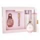 Sarah Jessica Parker Lovely Geschenkset  Edp 100 ml + Edp 10 ml + Körperschleier 250 ml